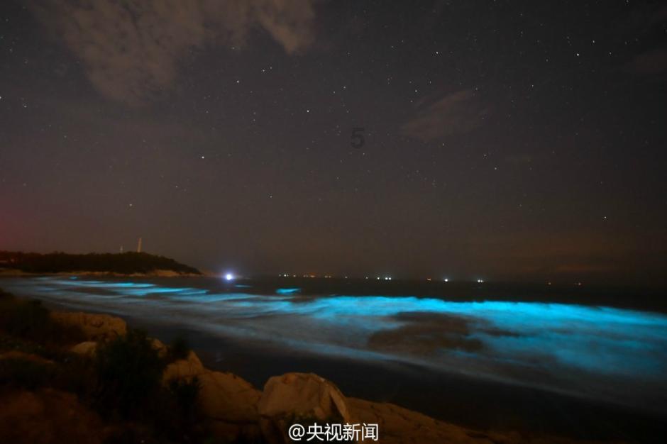 迷你汽车记忆卡