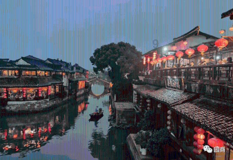 细胞分裂6